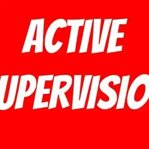 (AM) Active Supervision In The Early Childhood Classroom  (August 11th--9 a.m.)