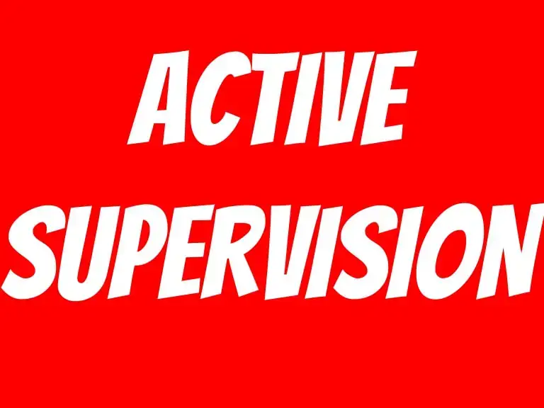 (AM) Active Supervision In The Early Childhood Classroom  (August 11th--9 a.m.)