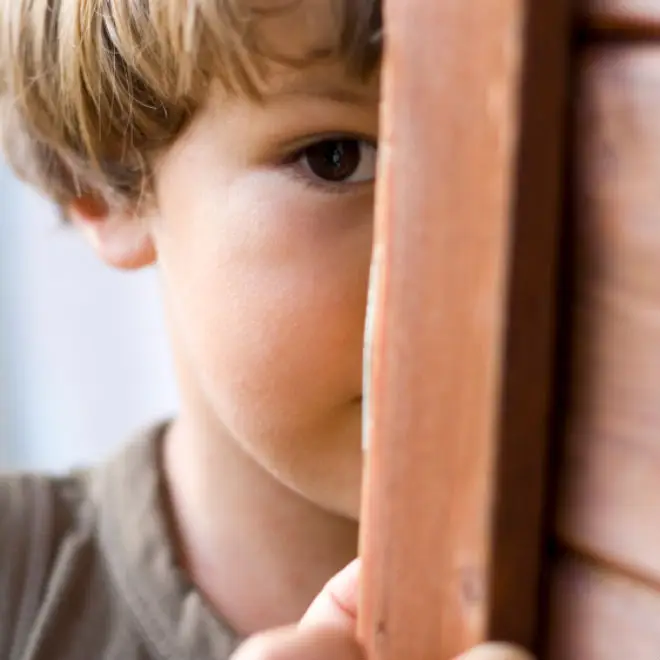 The Shy Child: Supporting Shy Children in the Early Childhood Setting (Thursday, January 14th, 6:00 p.m.