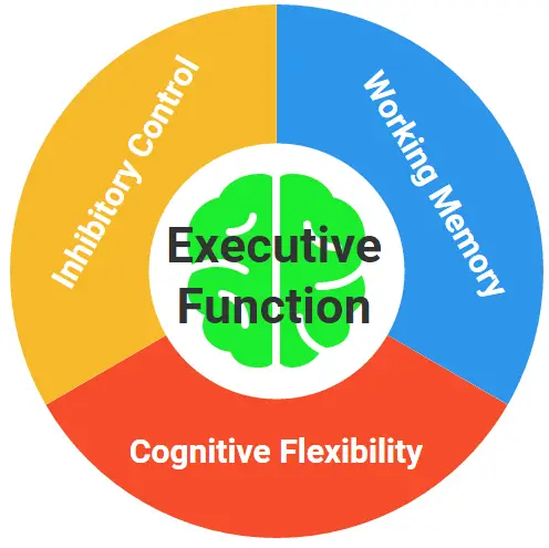 (Evening Session) April 23: Understanding the Importance of Executive Function & Self Regulation in Early Childhood Education: