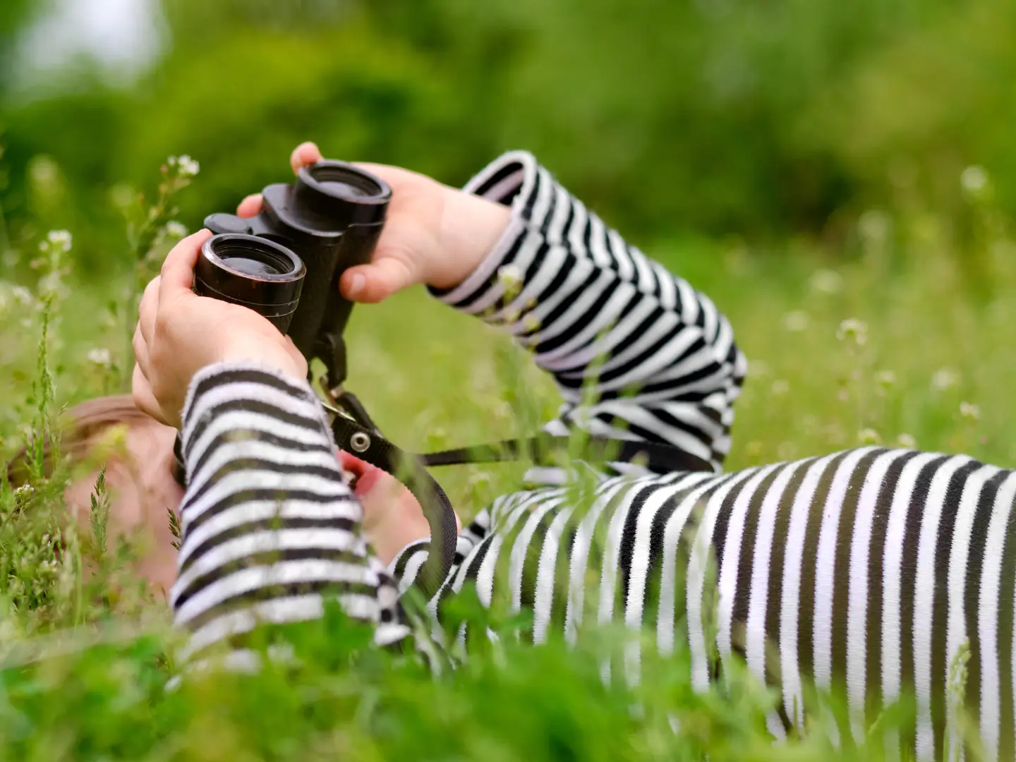 Child Development Principles: Cognition and Learning (Monday, October 10, 2022, 6:00 p.m.)