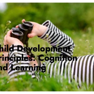 Child Development Principles: Cognition and Learning—3 Hours (Self-Paced)
