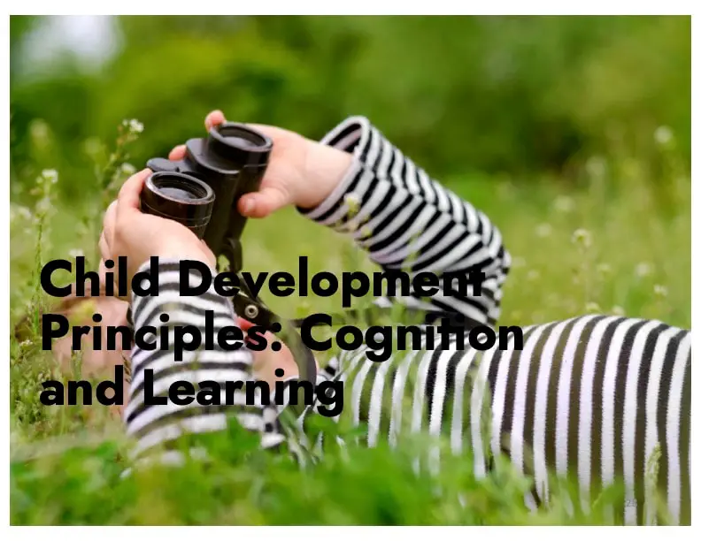 Child Development Principles: Cognition and Learning—3 Hours (Self-Paced)