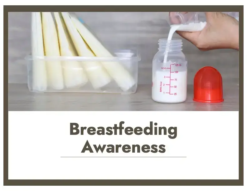 Breastfeeding Awareness —2 Hours (Self-Paced)