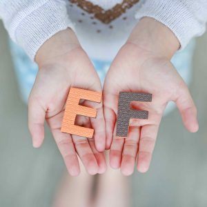 Understanding the Importance of Executive Function & Self Regulation in ECE—2 Hours (Self-Paced)