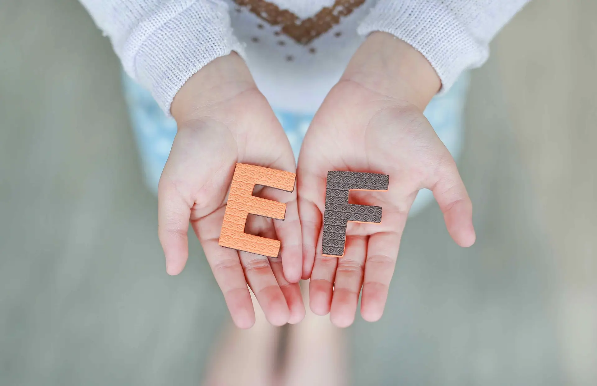 Understanding the Importance of Executive Function & Self Regulation in ECE—2 Hours (Self-Paced)