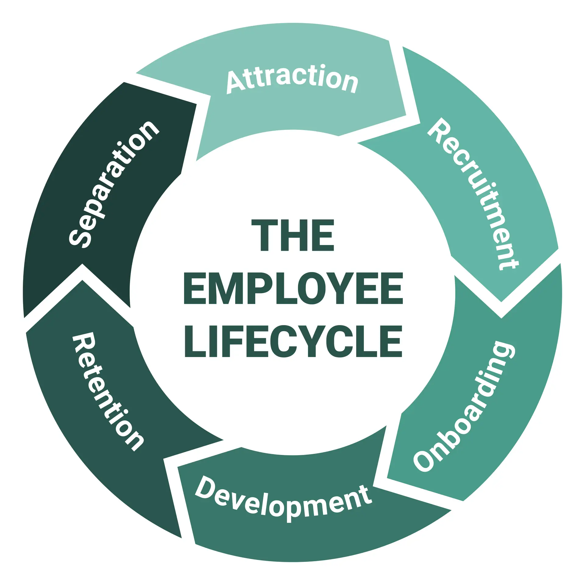 Leveraging the 7 Stages of Employee Lifecycle for Enhanced Employee Retention—2 Hours (Self-Paced)