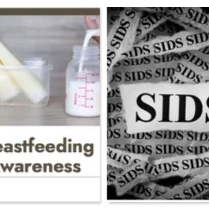 Infant Teacher Bundle:  Breastfeeding & SIDS