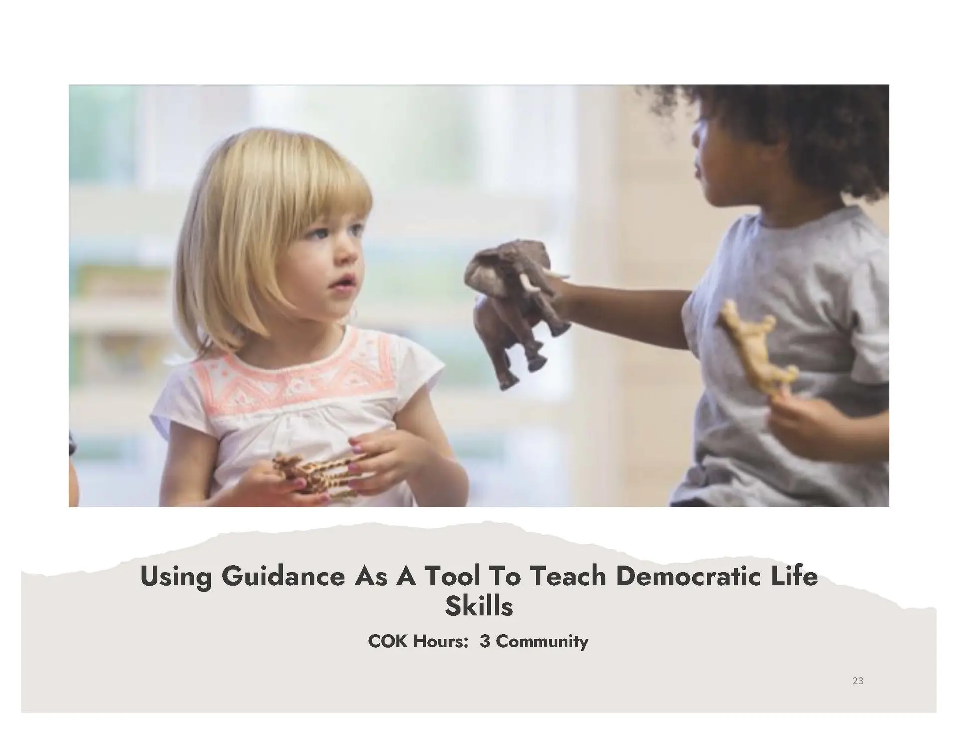 Using Guidance As A Tool To Teach Democratic Life Skills (Self-Paced)