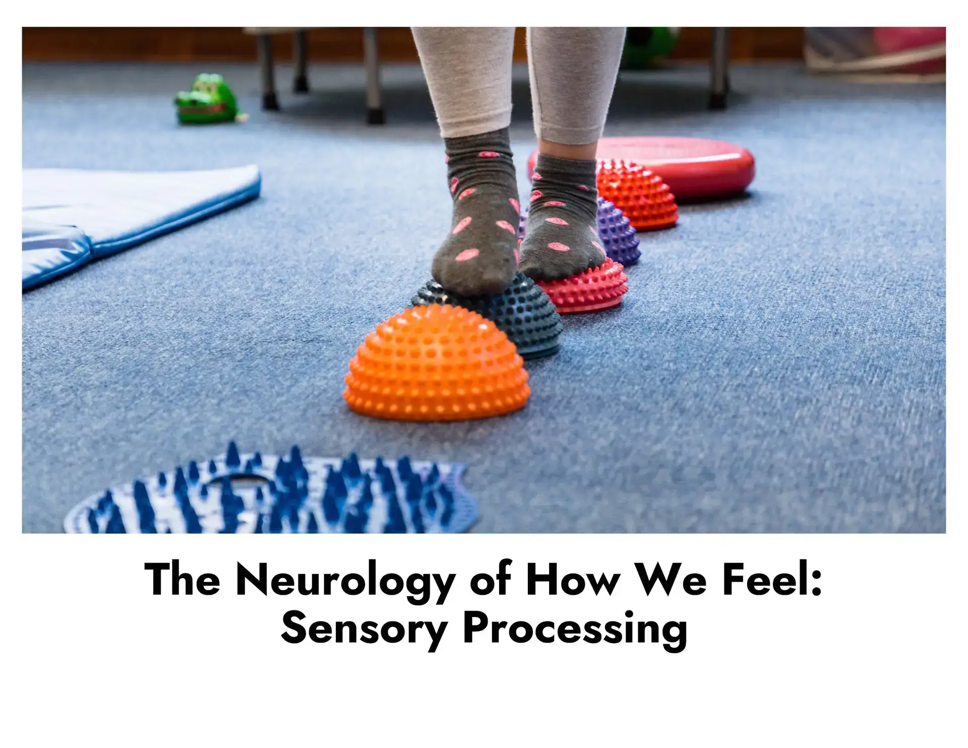 The Neurology of How We Feel: Sensory Processing (Self-Paced)