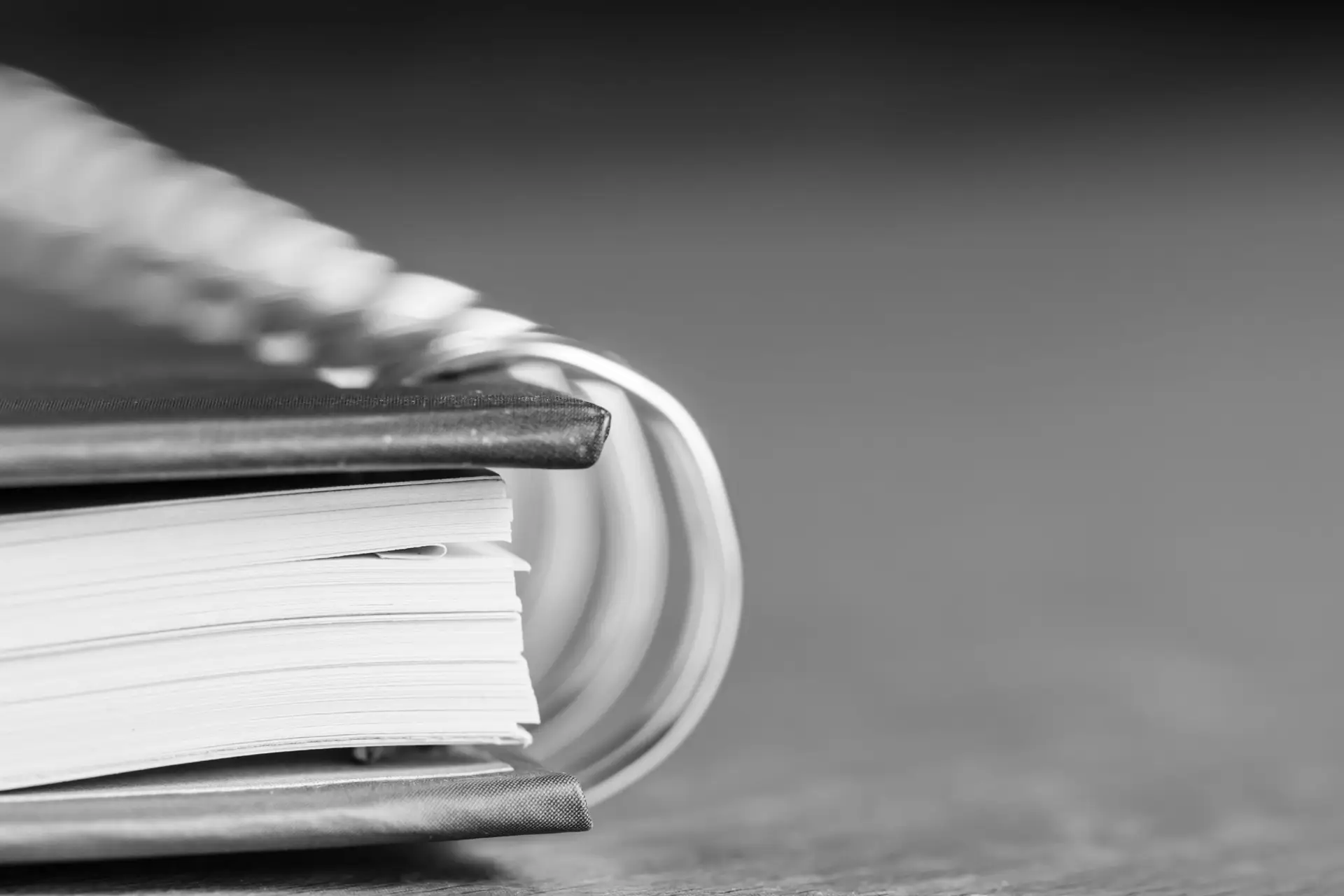 Program Handbook Edit