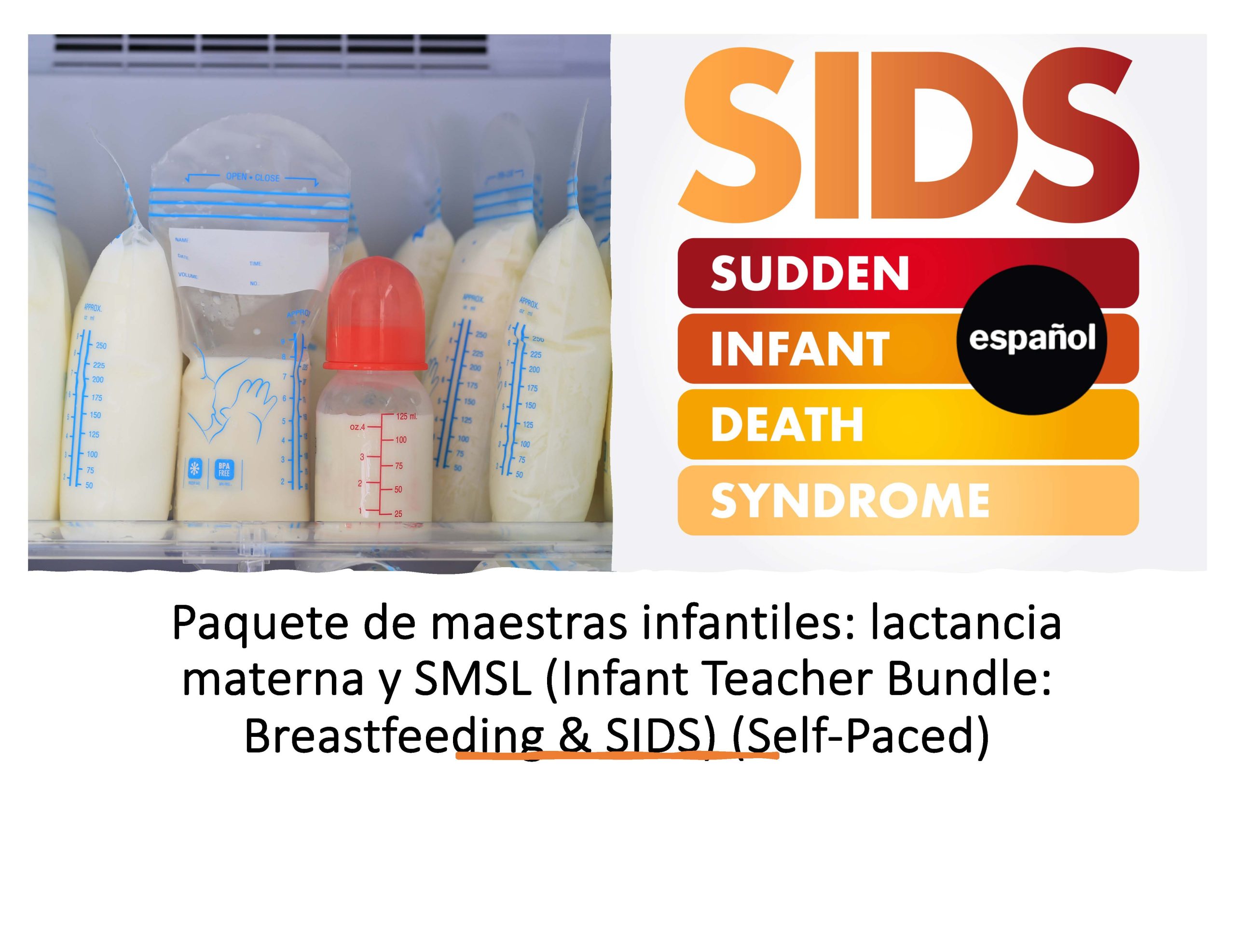 Paquete de maestras infantiles: lactancia materna y SMSL (Infant Teacher Bundle:  Breastfeeding & SIDS) (Self-Paced)